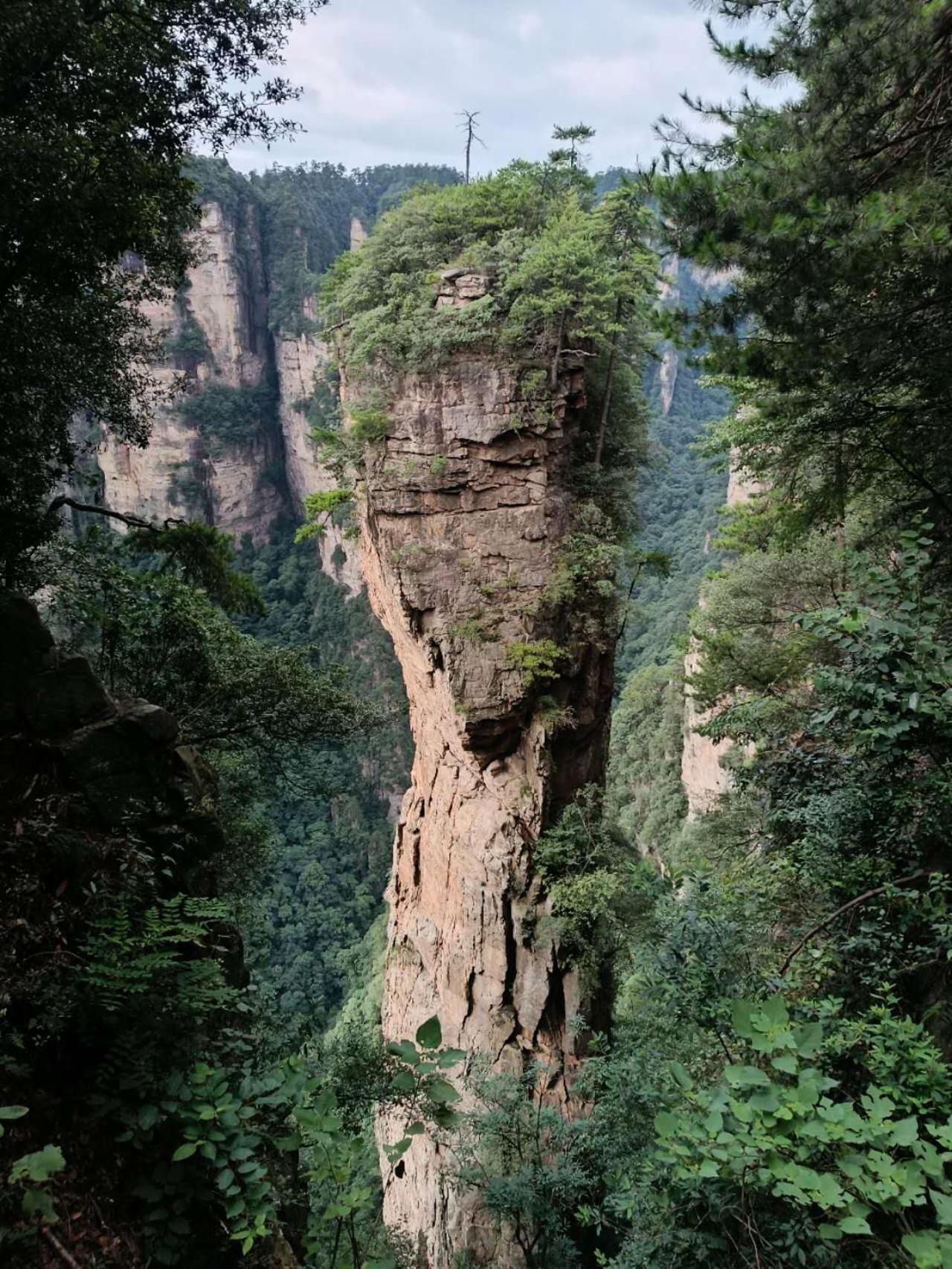 Family Hotel Zhangjiajie Εξωτερικό φωτογραφία