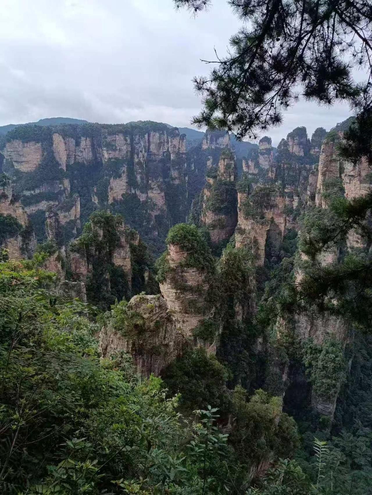 Family Hotel Zhangjiajie Εξωτερικό φωτογραφία